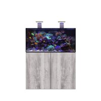 D-D Aqua-Pro Reef 1200- METAL FRAME- DRIFTWOOD CONCRETE