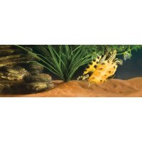 Exo Terra Riverbed Sand Wasser & Terrariensubstrat 4,5 kg